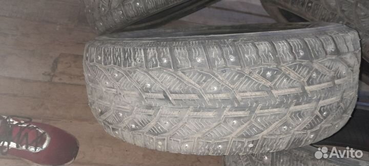 Tigar Ice 195/55 R16