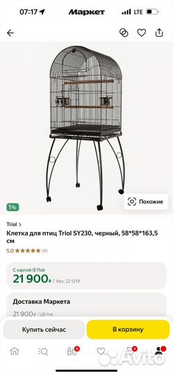 Ожереловый попугай