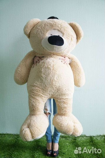Большие плюшевые мишки (шкуры)