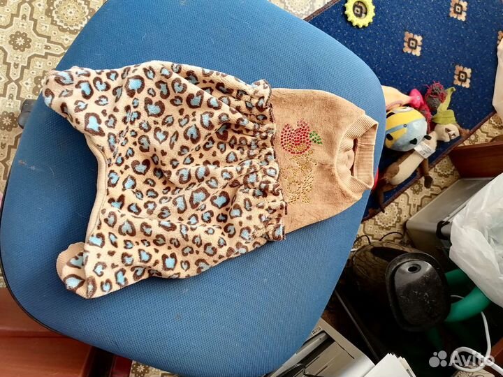 Одежда для собак мелких пород