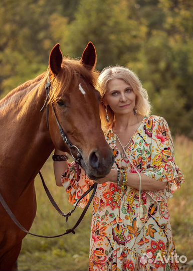 Конные прогулки, заказать лошадь на мероприятие