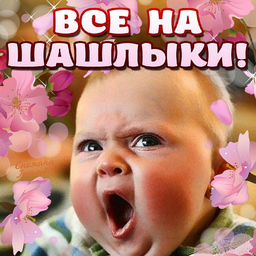 Прикольные картинки с цветами