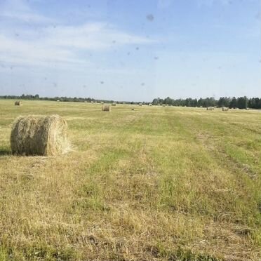 Продам сено в рулонах