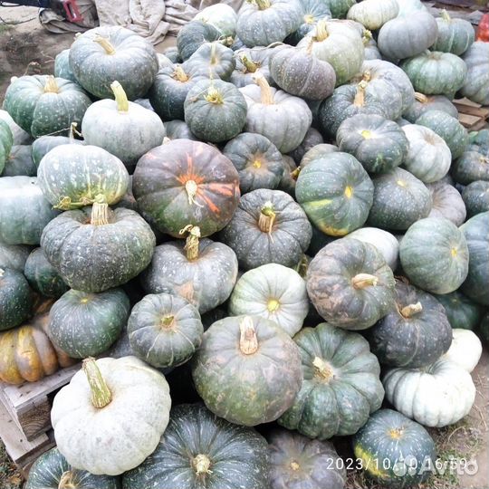 Картошка, капуста, тыква