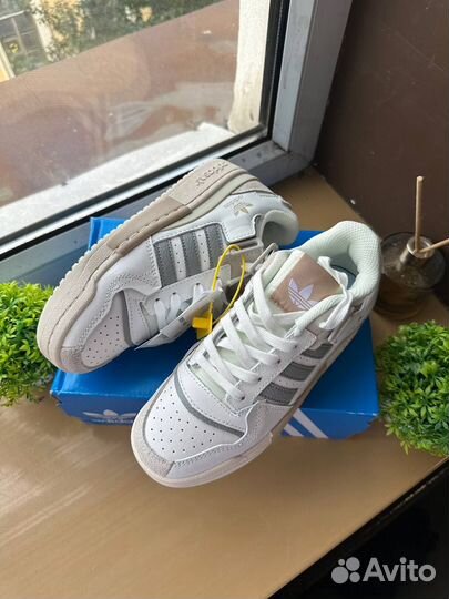 Кроссовки Adidas forum 84 low женские