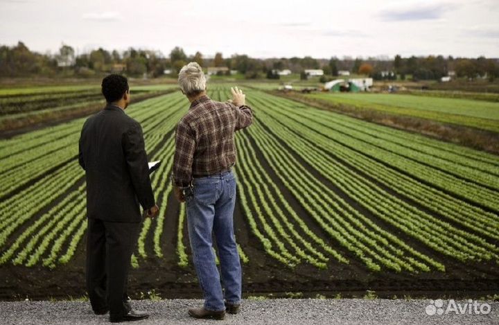 Фермерское хозяйство с техникой