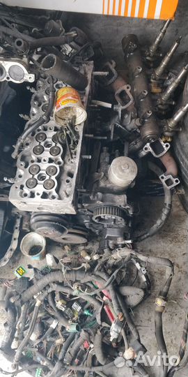 Isuzu 4JX1T в разбор