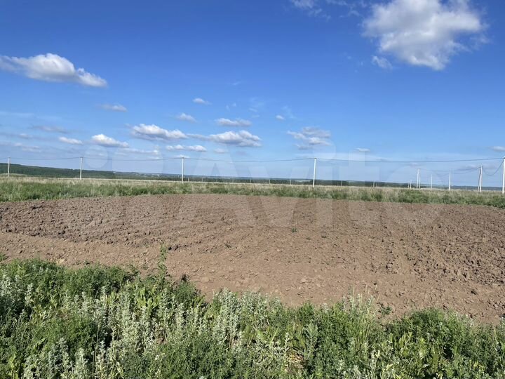 Участок 10 сот. (ИЖС)