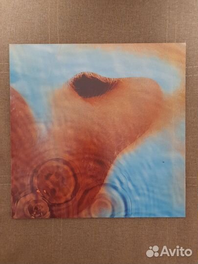 Pink floyd meddle