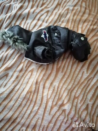 Одежда для маленьких собак зимняя