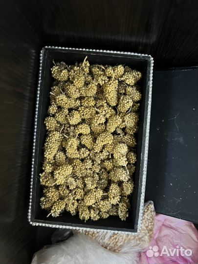 Корм для птиц