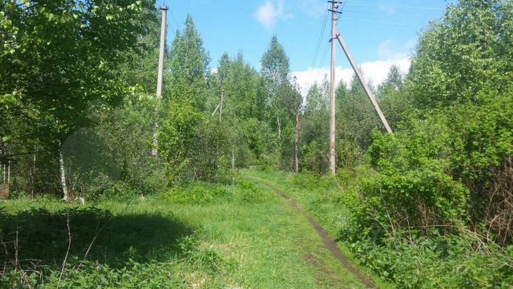 Участок 6,5 сот. (СНТ, ДНП)