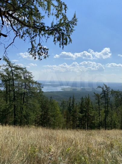 Участок 8 сот. (СНТ, ДНП)