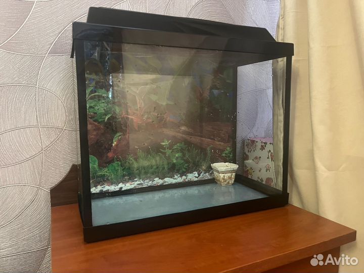 Аквариум