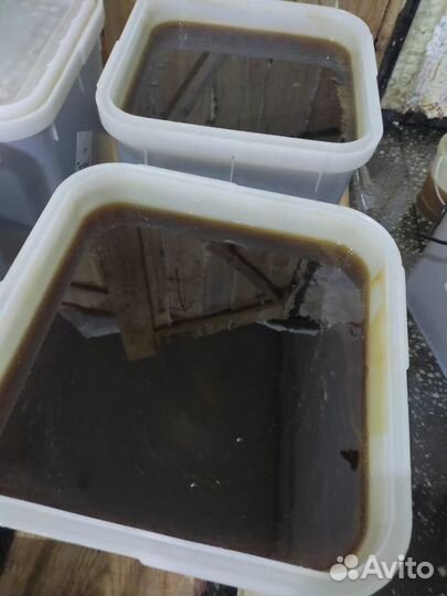 Мёд таёжный, опт