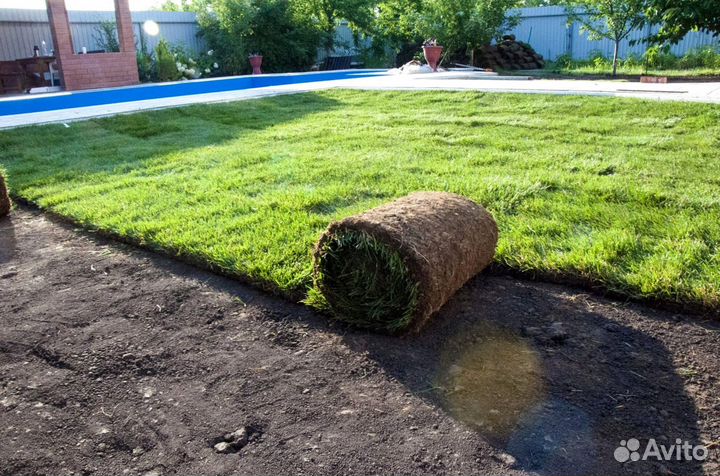 Газон под ключ. Озеленение участка