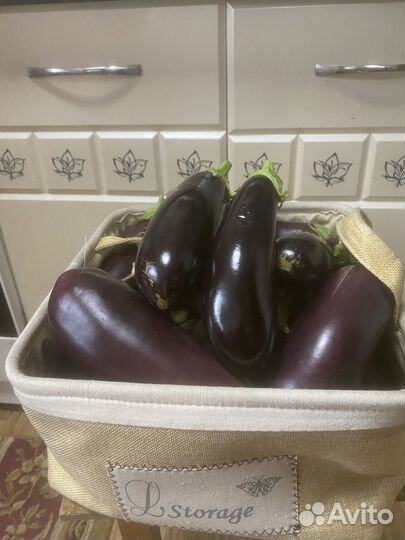 Баклажаны