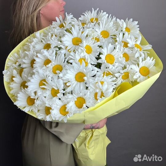 Цветы ромашки. Букеты ромашек. Ромашки. Цветы