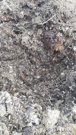 Навоз конский отборный, щепа