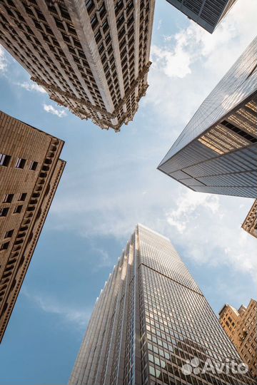 Риелтор/ агент по недвижимости