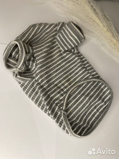 Майка для собаки