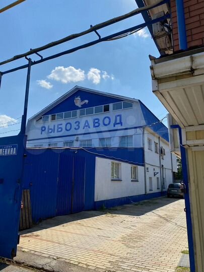 Производство - Рыбзавод, 470 м²
