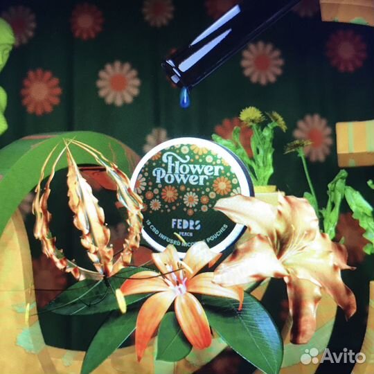 Курсы графического дизайна