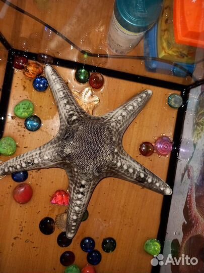 Декор для аквариума