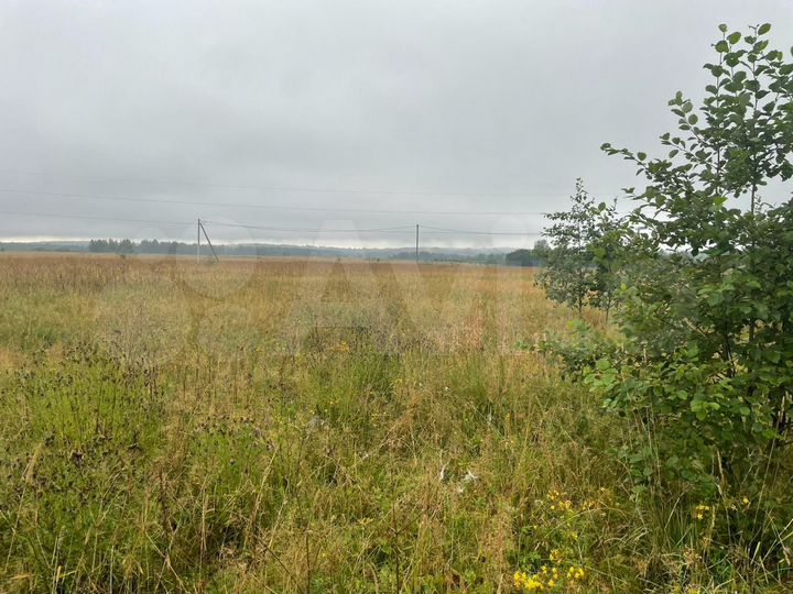 Участок 1,5 га (ИЖС)