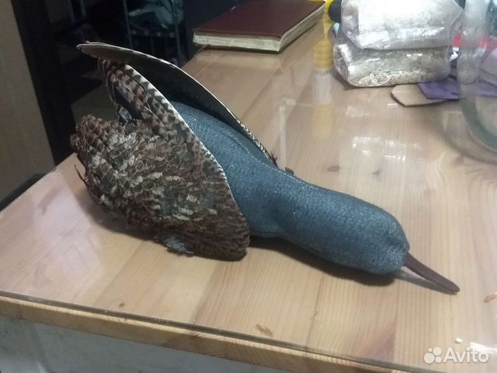 Потаска с крыльями птицы, игрушка для собаки