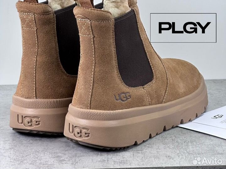 UGG мужские Burleigh Chelsea Челси Угги ботинки