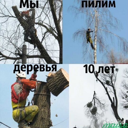 Спил деревьев расчистка участка корчевание пней