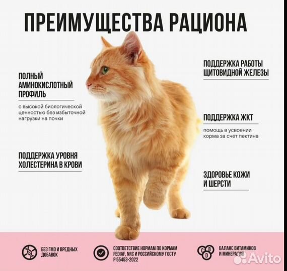 Сухой корм для кошек супер премиум