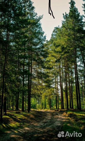 Бригада для заготовки леса