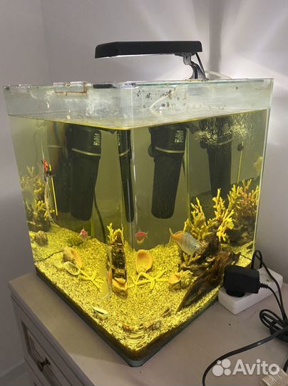 Аквариум