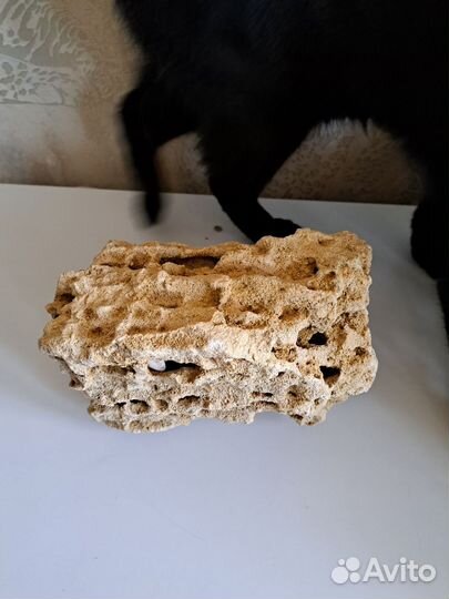 Песчаник для аквариума