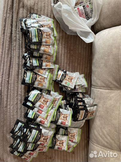 Purina pro plan для кошек