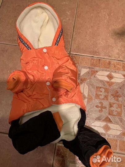 Костюм на собаку