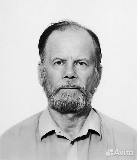 Картина В. И. Борисова 