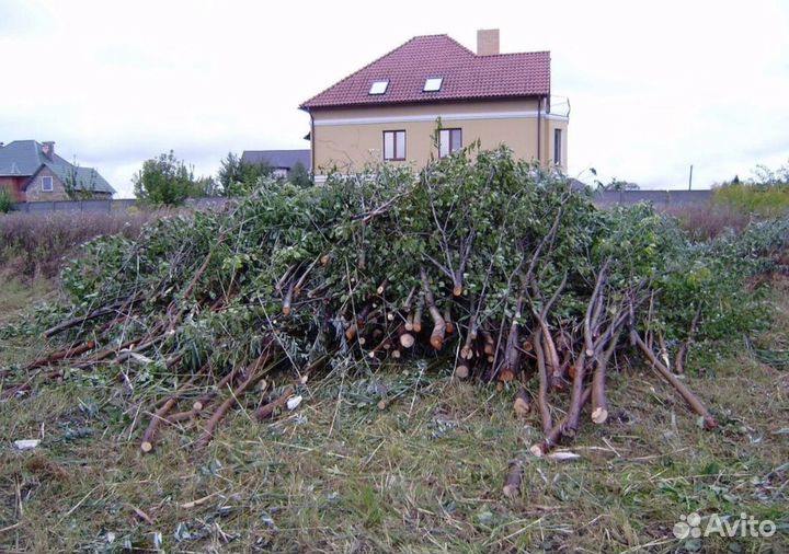 Покос травы