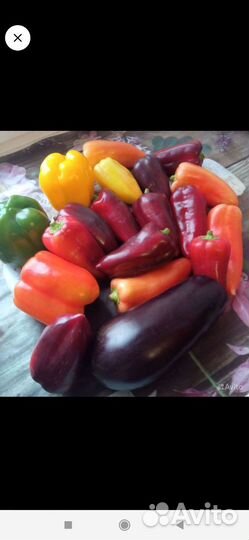 Семена перцев