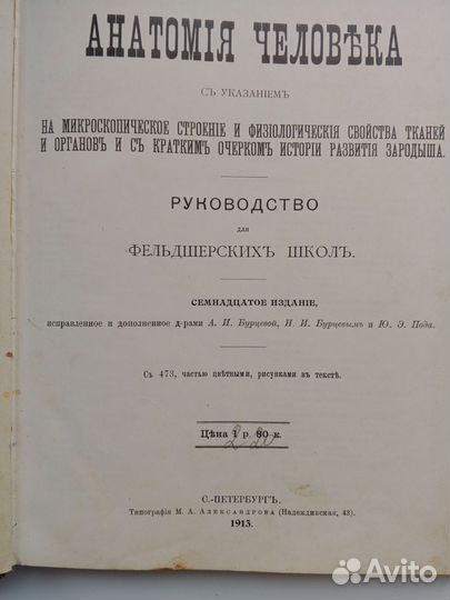 Анатомия человека