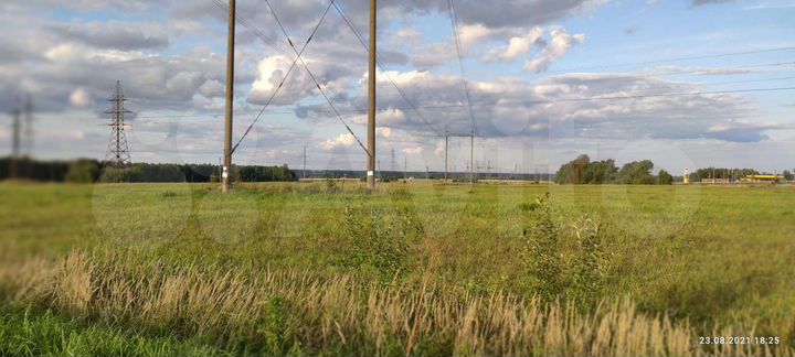 Участок 50 га (СНТ, ДНП)