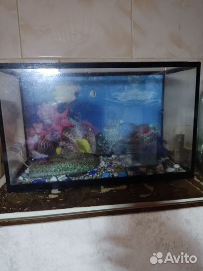 Аквариум