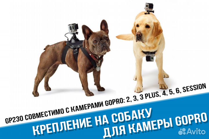 Крепление GoPro на собаку
