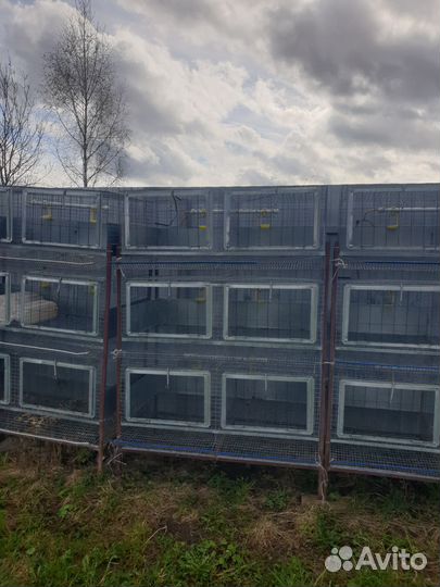 Большая клетка для птиц