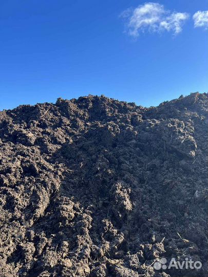 Навоз коровий