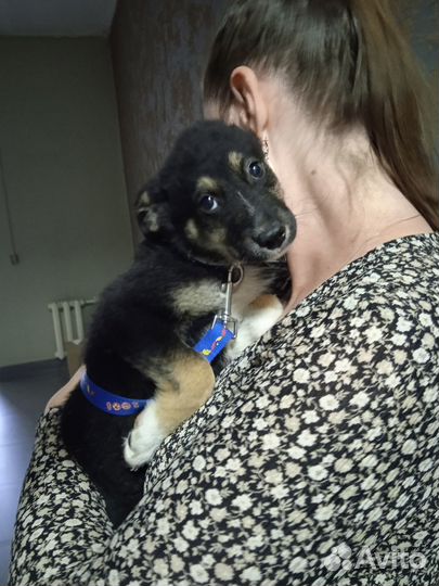 Нежная спокойная Малышка в самые добрые руки