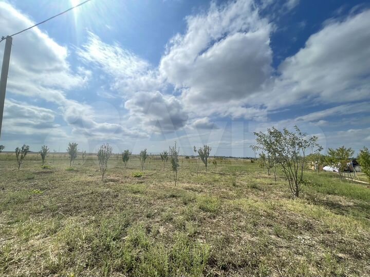 Участок 6 сот. (СНТ, ДНП)