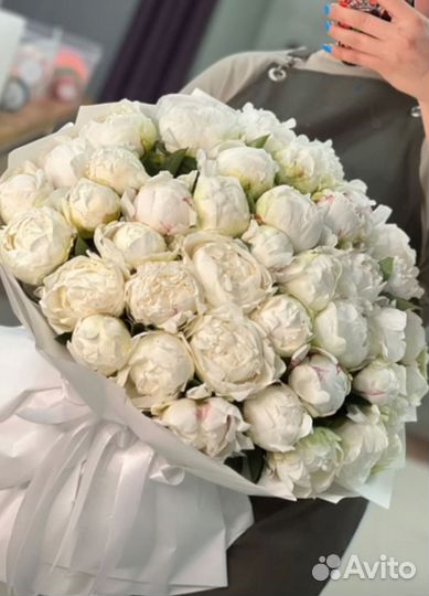 Пионы букет цветы